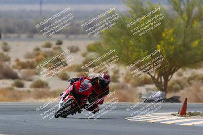 media/Apr-10-2022-SoCal Trackdays (Sun) [[f104b12566]]/Turn 5 Tree of Life (1040am)/